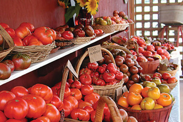 The Art of the Heirloom Tomato